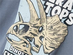 Name It flint stone dinosaurus top